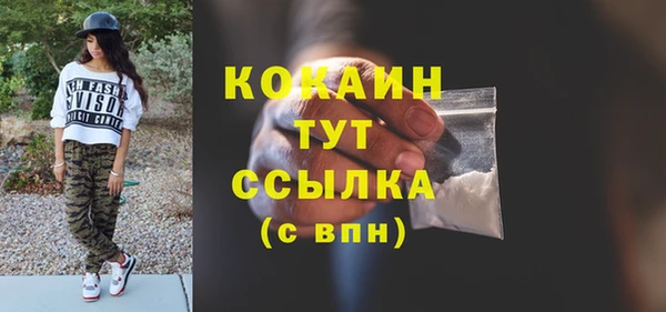 индика Михайловск