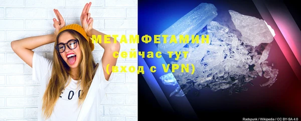 индика Михайловск