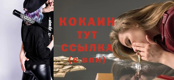 индика Михайловск
