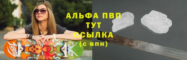индика Михайловск