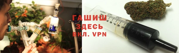 индика Михайловск