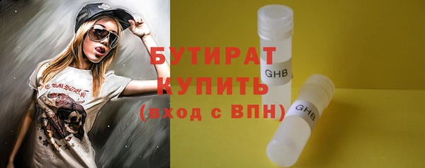 индика Михайловск