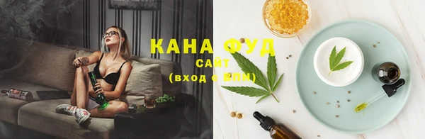 индика Михайловск
