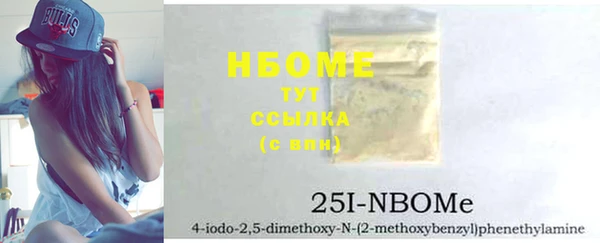 индика Михайловск
