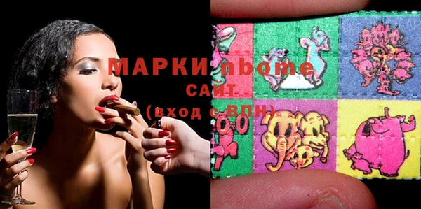 индика Михайловск