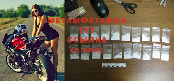 индика Михайловск
